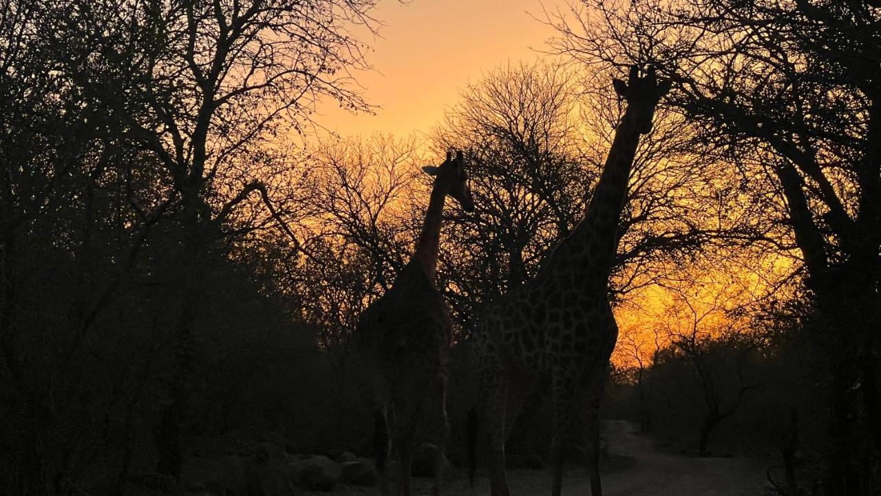 Kruger Kumba - Lahlekile Nathi Apartment Marloth Park Exterior photo