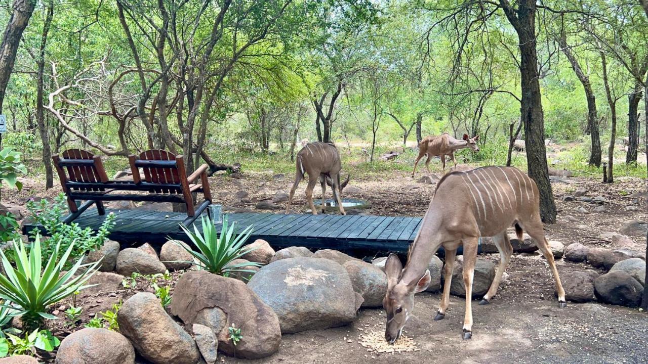 Kruger Kumba - Lahlekile Nathi Apartment Marloth Park Exterior photo