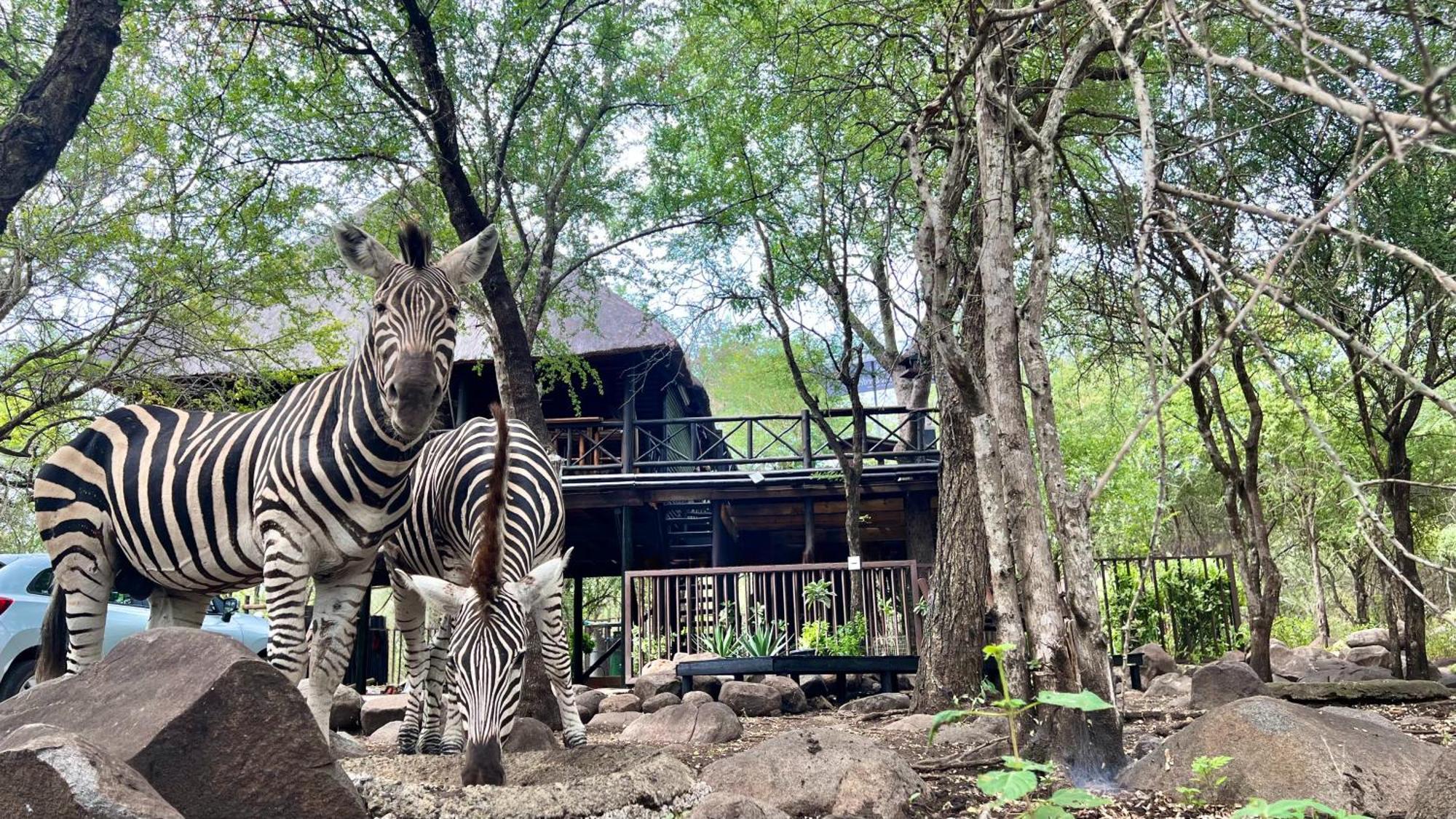 Kruger Kumba - Lahlekile Nathi Apartment Marloth Park Exterior photo